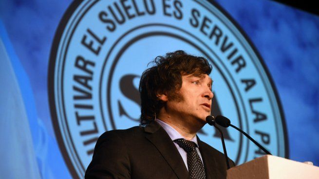 Javier Milei Neg Que Se Pueda Dolarizar En Un D A Y Estim Cu Nto