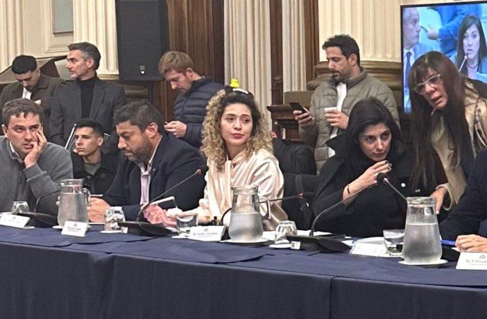La diputada Lourdes Arrieta con los populares patos amarillos sobre la cabeza durante el debate en Comisión. 