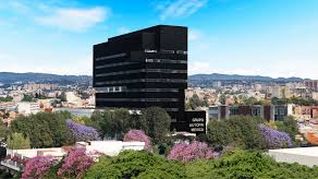 quienes son los verdaderos duenos de grupo autofin mexico. el gigante automotriz de mexico