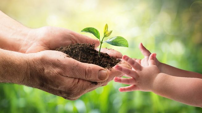 Imagen representativa de la importancia del cuidado del medioambiente y la transmisión del deber entre generaciones.