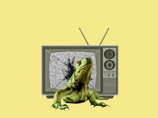 euforia de videotape.jpg