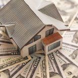 el ano del ladrillo el ano del ladrillo