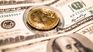 Crypto dollar anticipates the result: it flew 20% after Javier Milei was elected