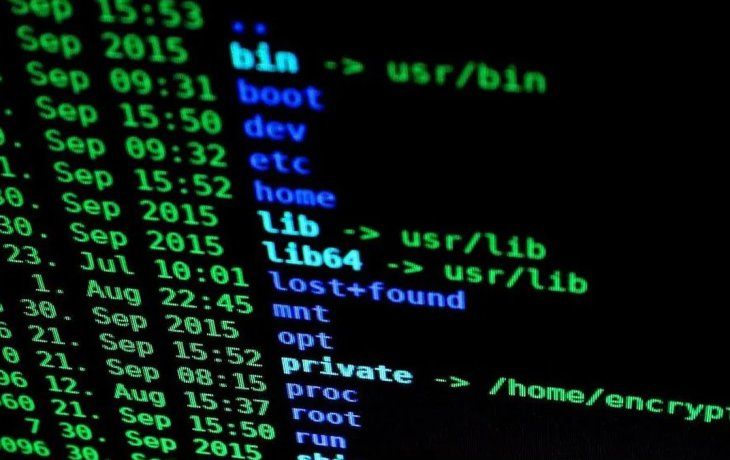 Ciberataque afecta colecciones digitales y archivos de museos en EEUU