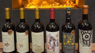 Antucura renueva etiquetas y presenta nuevas añadas de sus líneas Single Vineyard y Blends