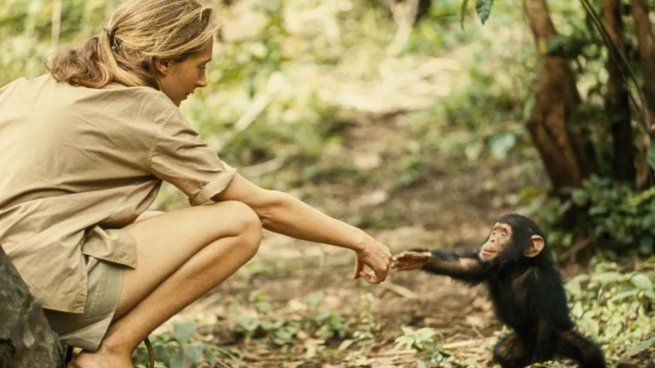 Jane Goodall murió a los 91 años en California.