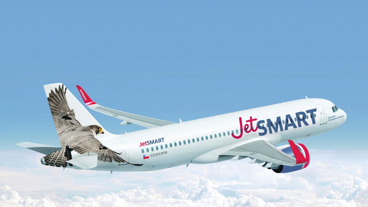 low cost airline incorporates two planes for the high season