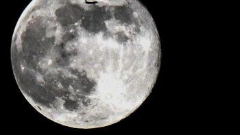 En la Luna se forma un rostro humano gracias a un fenómeno psicológico conocido como pareidolia.