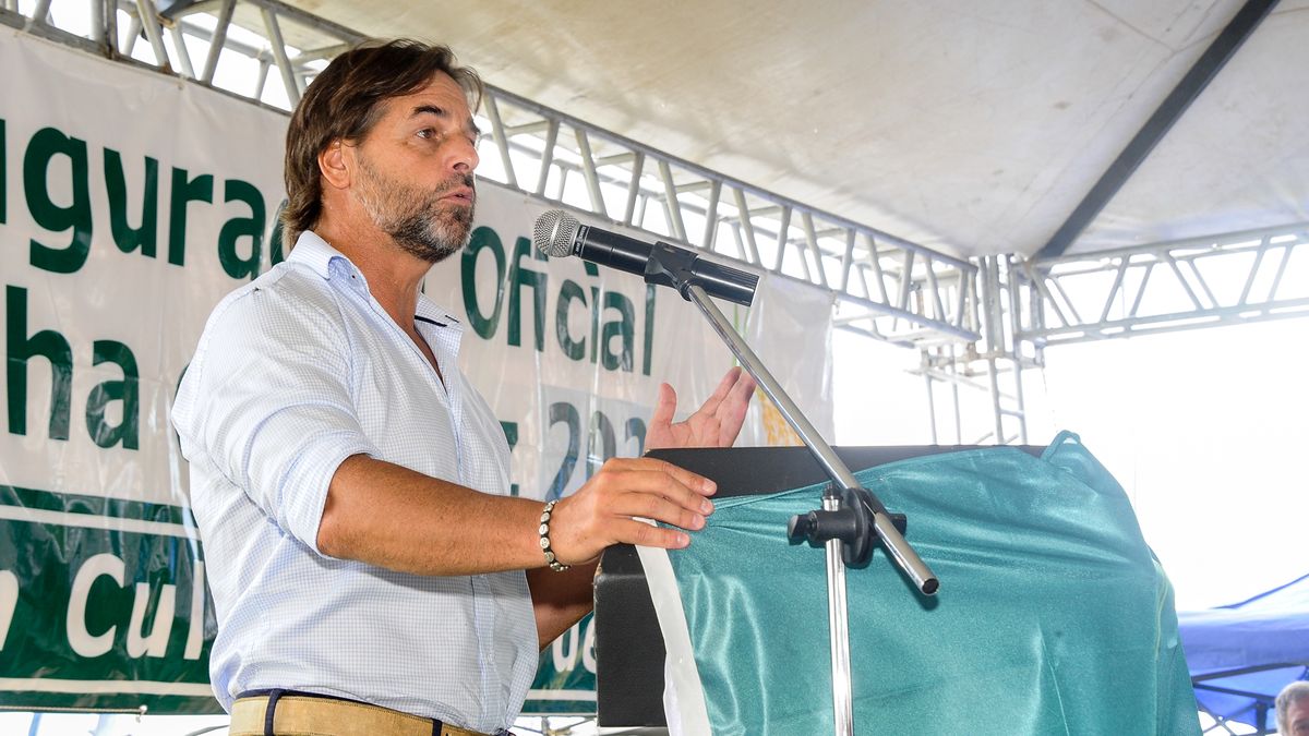 Lacalle Pou supported the free import of fuels and argued that Ancap improved Lacalle Pou supported the free import of fuels and argued that Ancap improved
