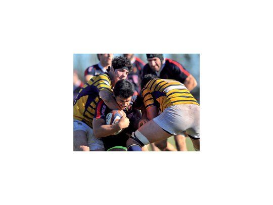 Acá están,éstos son...