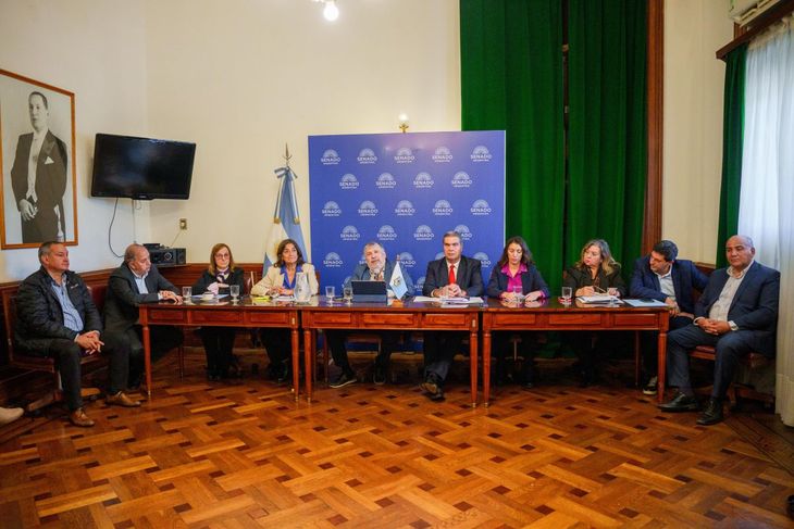 Los senadores peronistas impulsan un proyecto de tarifa eléctrica diferencial para 10 provincias norteñas.