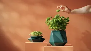 La maceta que acompaña a tu planta en su desarrollo ya llegó.