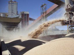 En el primer semestre se exportaron 32,7 millones de toneladas de granos.