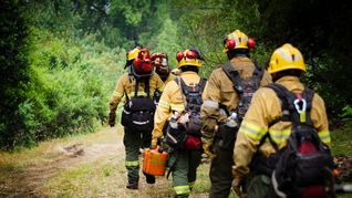 Los brigadistas continúan combatiendo los incendios en Chubut. Los brigadistas continúan combatiendo los incendios en Chubut.