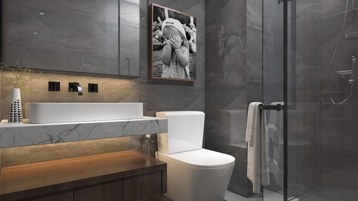 Chatting with the toilet, asking it to raise or lower the lid or regulate its temperature: the million-dollar invention of the voice-controlled toilet