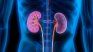 Es fundamental mantener un control periódico de la presión arterial y evaluar la función renal de forma regular. 