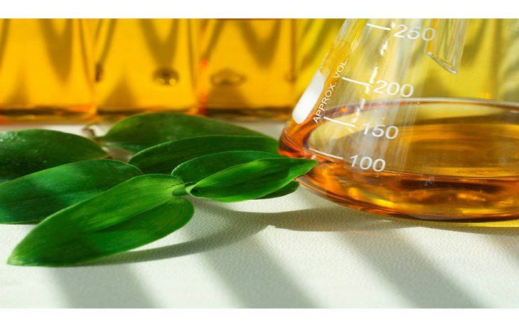Producción de biodiésel creció 37,4% en el segundo trimestre