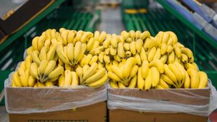 La importación de bananas preocupa a los gobernadores norteños.