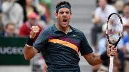 Juan Martín del Potro would enter the Hall of Fame of Tennis in 2026 Juan Martín del Potro would enter the Hall of Fame of Tennis in 2026