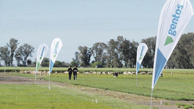 acuerdo. Gentos aportará capacitación y Santander financiamiento.