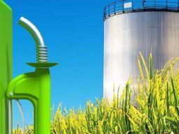 Biocombustibles como herramienta estratégica de desarrollo