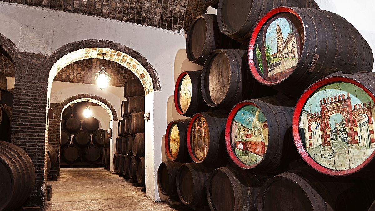 Cepa Criolla: six labels to the rescue of a tradition