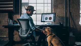 Los perros son una gran compañía para quienes trabajan desde casa.&nbsp;