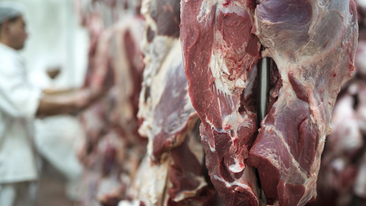 The value of meat is affirmed in an expectant scenario due to the rise in prices