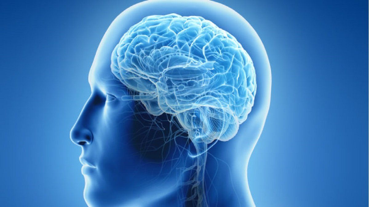 Cerebro: 9 cosas que dañan tu memoria todos los días