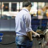 En las fiestas, no habrá atención al público entre las 22 y las 6, aunque se mantendrán guardias para servicios esenciales. En las fiestas, no habrá atención al público entre las 22 y las 6, aunque se mantendrán guardias para servicios esenciales.