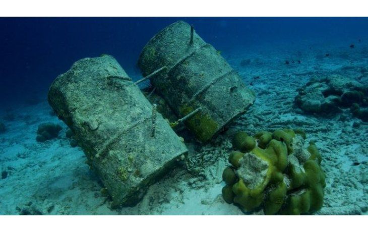 Científicos alertan que la contaminación humana llegó al fondo de los océanos