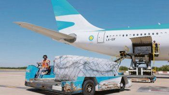 Vuelo. Aerolineas Argentinas ya prepara un nuevo vuelo a Moscú para traer el lote de vacunas para la segunda dosis de la Sputnik V.