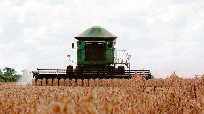 La soja sigue perdiendo terreno frente al maíz y al girasol en la campaña 2025/26, aunque continúa siendo clave para el ingreso de divisas.