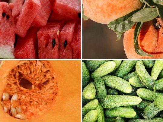 Las frutas y las verduras de estaci&oacute;n aportan beneficios en salud y sabor.&nbsp;