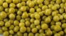 The peas contain essential nutrients and a large singing of proteins.