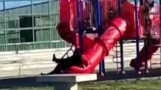 chile: el insolito accidente del presidente gabriel boric que se volvio viral