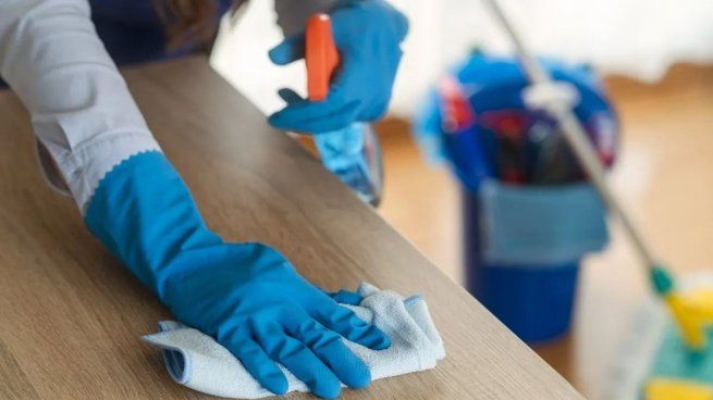 El 22 de julio es el Día internacional del trabajo doméstico. 