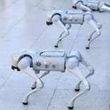 Guadalupe, en Monterrey, incorporó perros robot tácticos para reforzar la seguridad de cara al Mundial 2026. Guadalupe, en Monterrey, incorporó perros robot tácticos para reforzar la seguridad de cara al Mundial 2026.