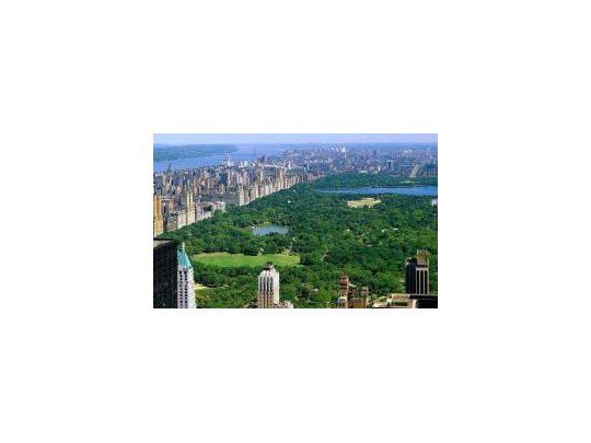 El célebre Central Park, uno de los más de 1.700 parques que posee Nueva York.
