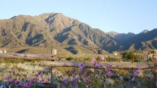 Este lugar tiene varios aspectos que lo destacan, pero uno de ellos lo hizo llevarse un merecido reconocimiento. Este lugar tiene varios aspectos que lo destacan, pero uno de ellos lo hizo llevarse un merecido reconocimiento.