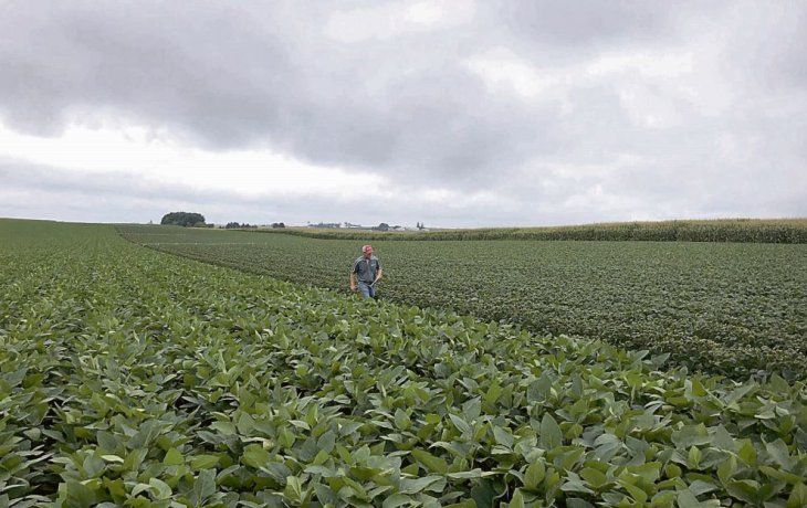 gobierno modifica retenciones al campo: elimina tope y la soja pagara 30% gobierno modifica retenciones al campo: elimina tope y la soja pagara 30%