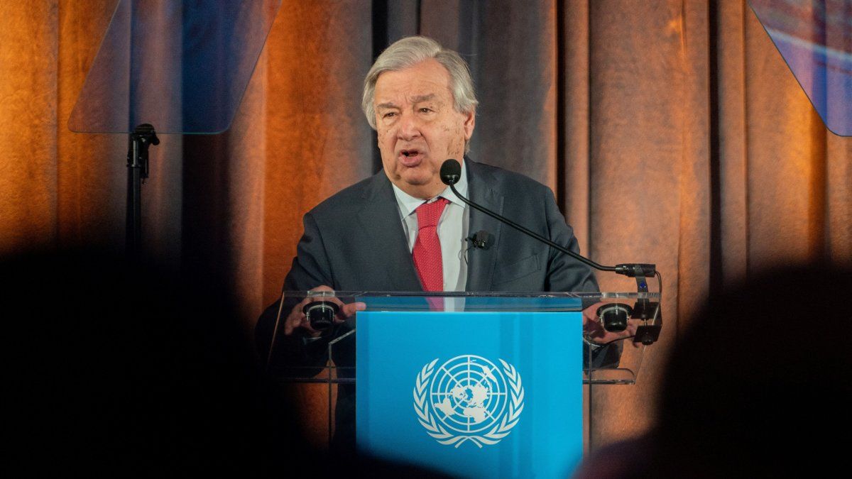 The UN warned that humans are like the meteorite that extinct the dinosaurs