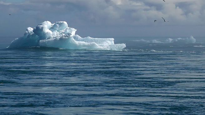 Científicos e investigadores buscan respuestas para el cambio climático