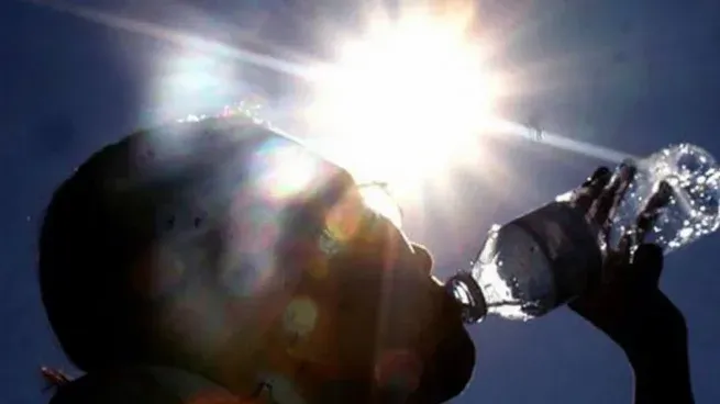 Los especialistas alertaron sobre las altas temperaturas que habrá durante este verano.