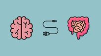 Cerebro.