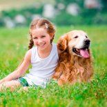 La tributación como herramienta para impulsar mejoras ambientales La tributación como herramienta para impulsar mejoras ambientales