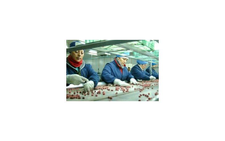 Salarios subieron 1,96% en enero
