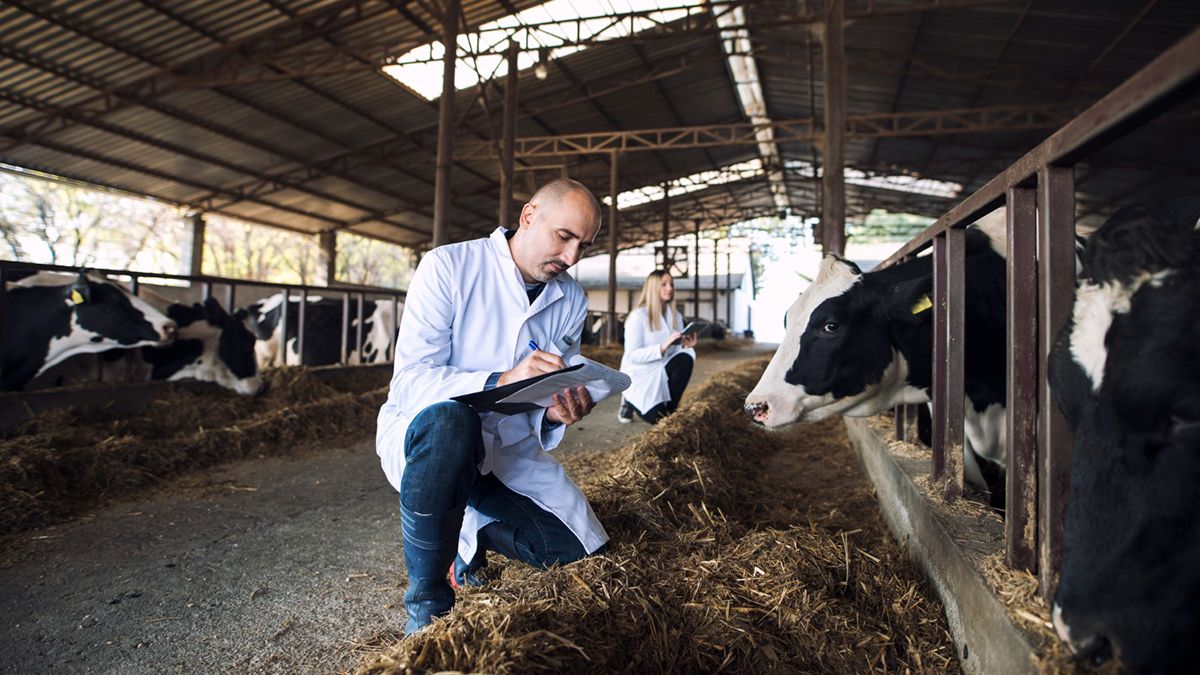 Uruguay will support the Argentine candidate to preside over the World Organization for Animal Health