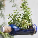 Las botellas de plástico pueden ser reutilizadas de distintas maneras para ayudar al planeta. Las botellas de plástico pueden ser reutilizadas de distintas maneras para ayudar al planeta.