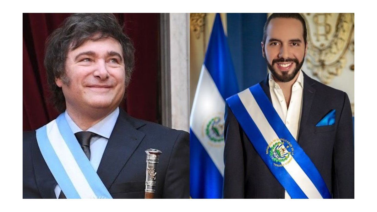 Nayib Bukele Elogió A Javier Milei Y Comparó La Inseguridad En El ...